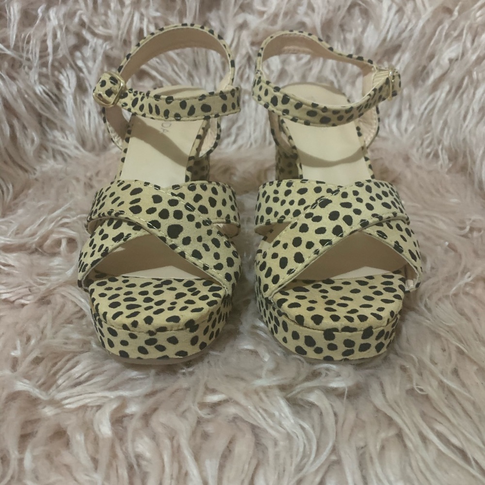 Cheetah Platforms